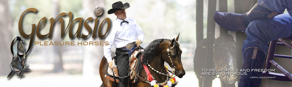 Rick Gervasio Pleasure Horses