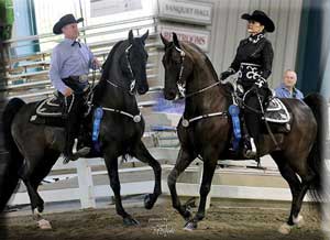 Arrowhead's Captain Morgan