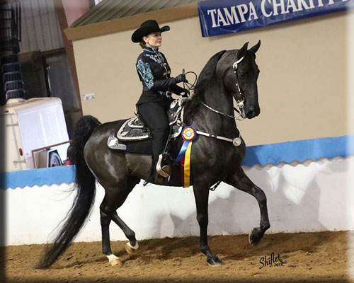 Arrowhead's Captain Morgan