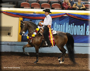 Graywood's Belinda Breeze