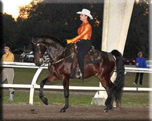 Gulfwind High Fidelity