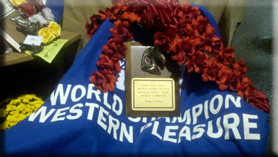 World Champion Western Pleasure