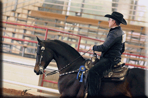 RJMF Belle of the Blvd