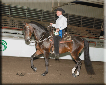 Sarde's Rock of Love